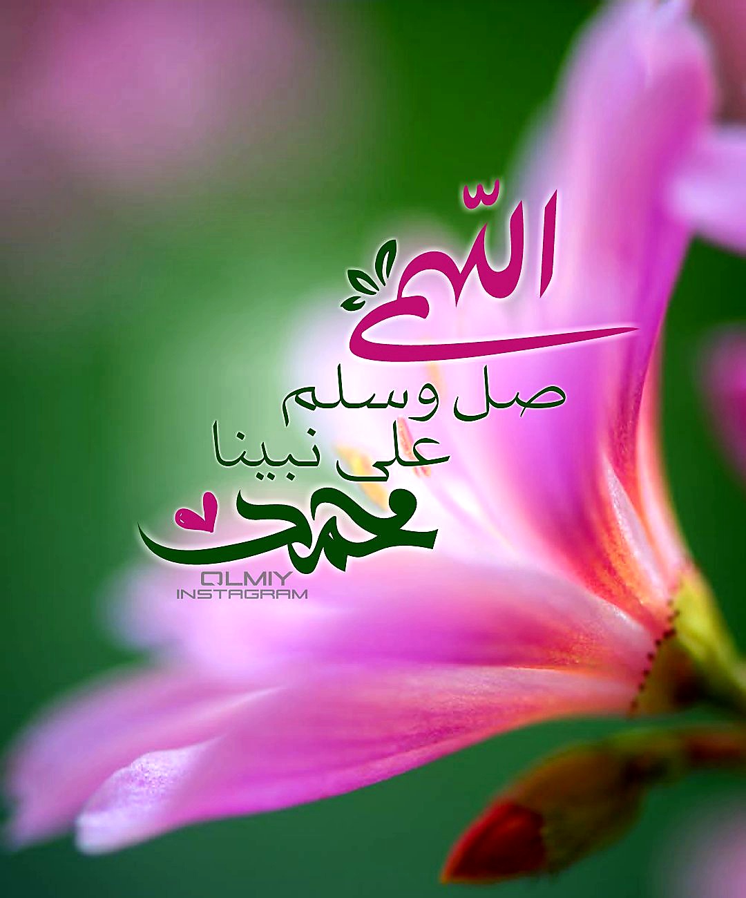مختارات
