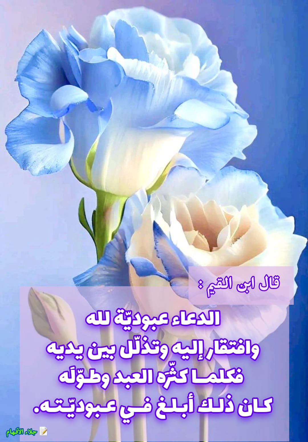 مختارات