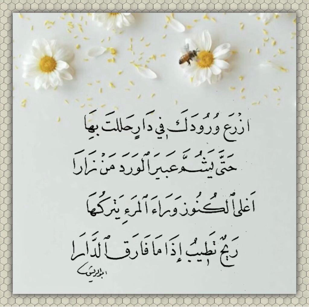 مختارات