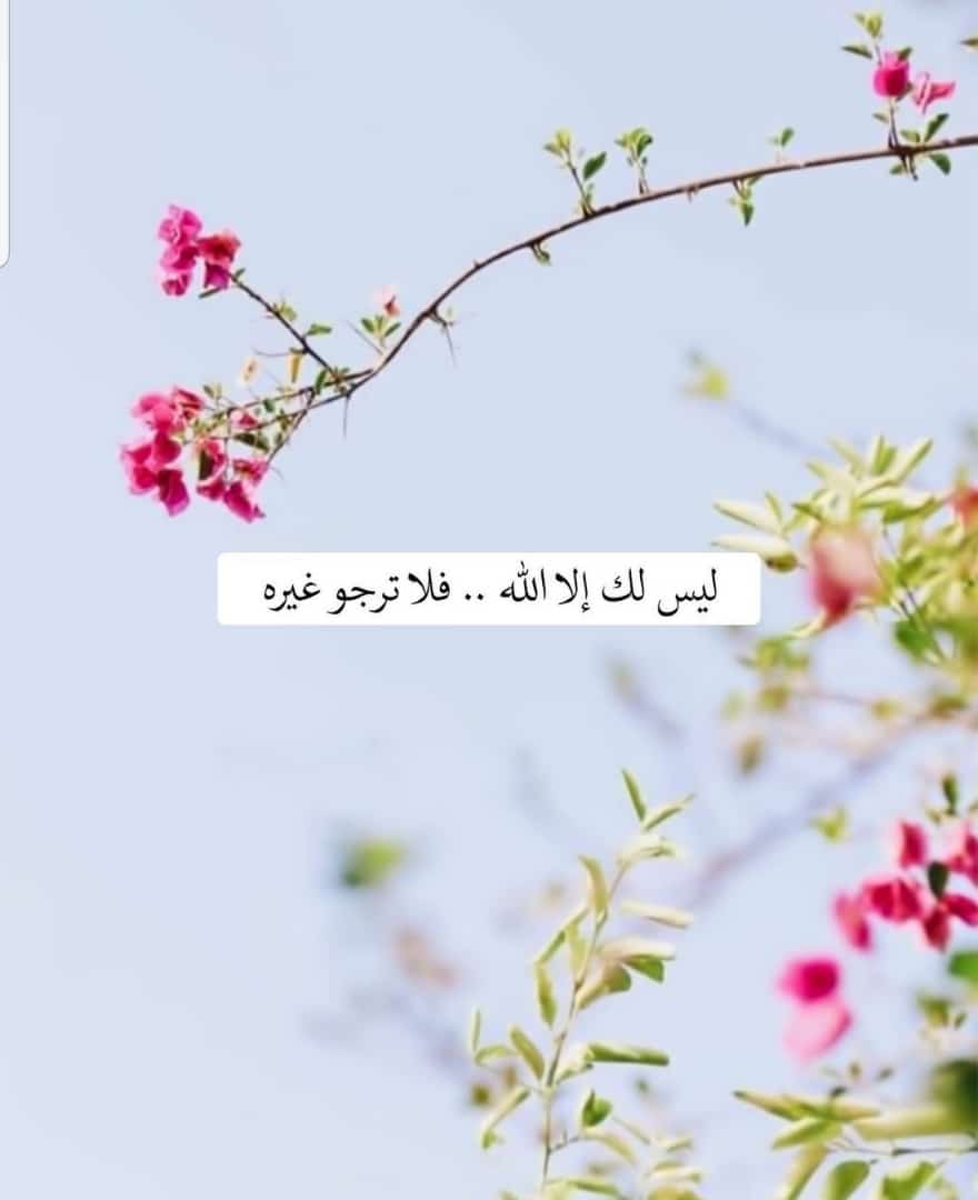مختارات
