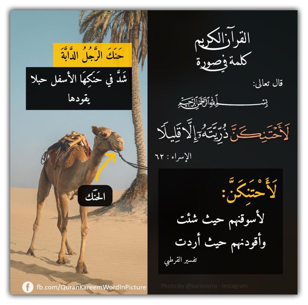 مختارات