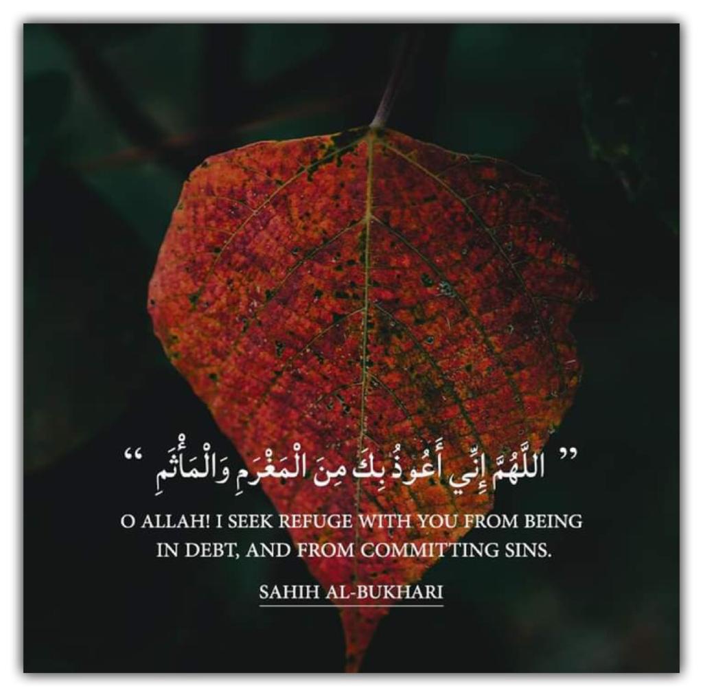 مختارات