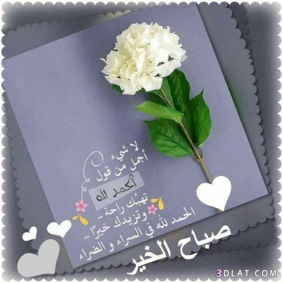مختارات