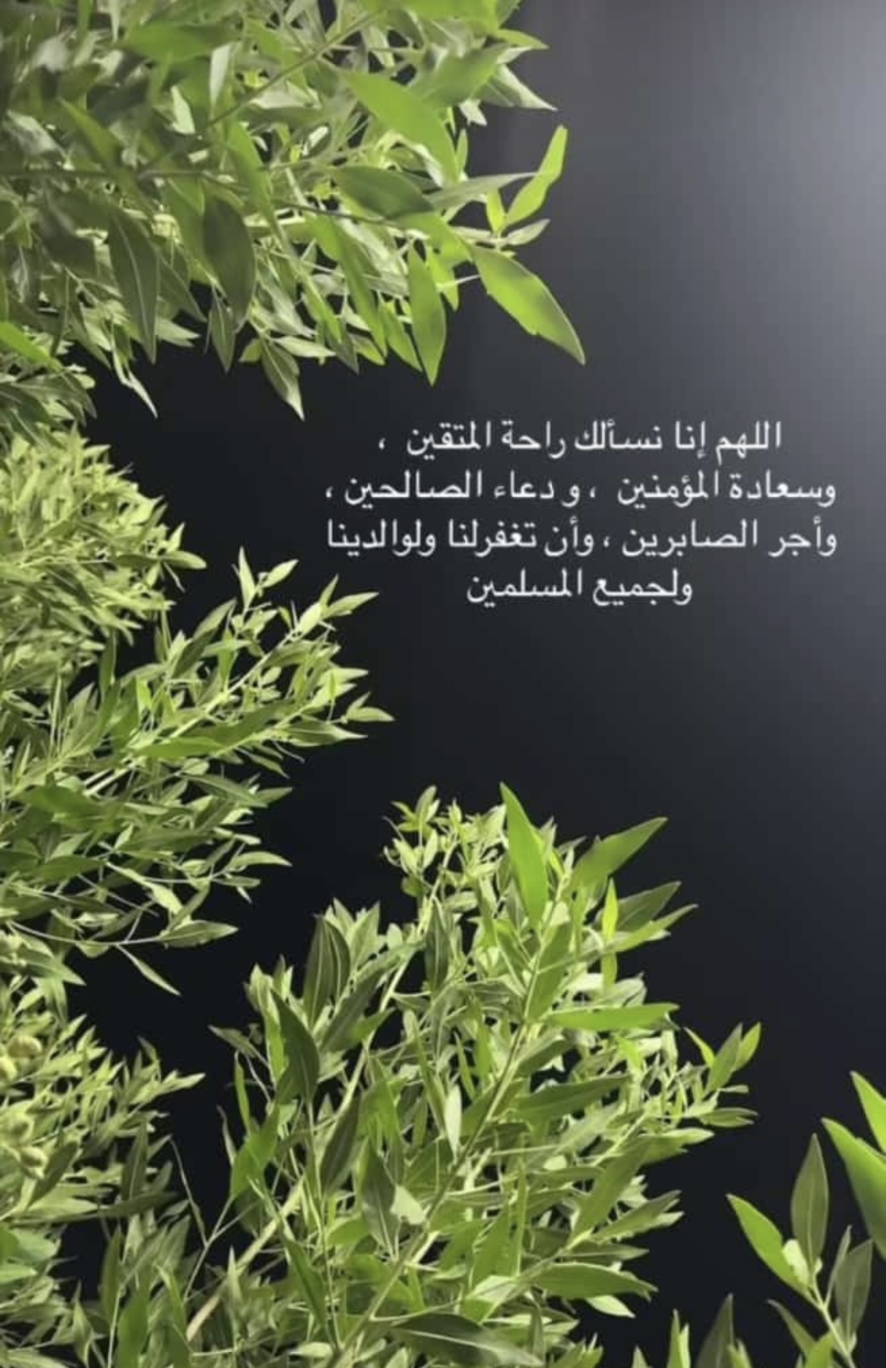 اللهم إنا نسألك راحة المتقين 