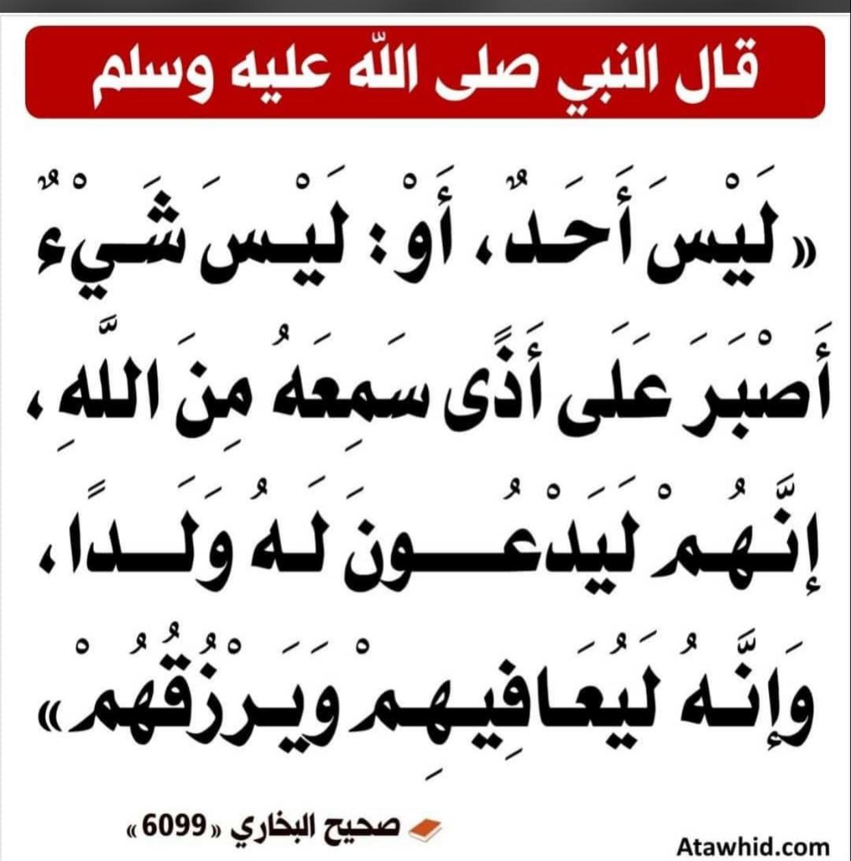 ليسَ أحَدٌ -أوْ ليسَ شَيءٌ- أصْبَرَ علَى أذًى سَمِعَهُ مِنَ اللَّهِ؛ إنَّهُمْ لَيَدْعُونَ له ولَدًا، وإنَّه لَيُعافيهم ويَرْزُقُهُمْ