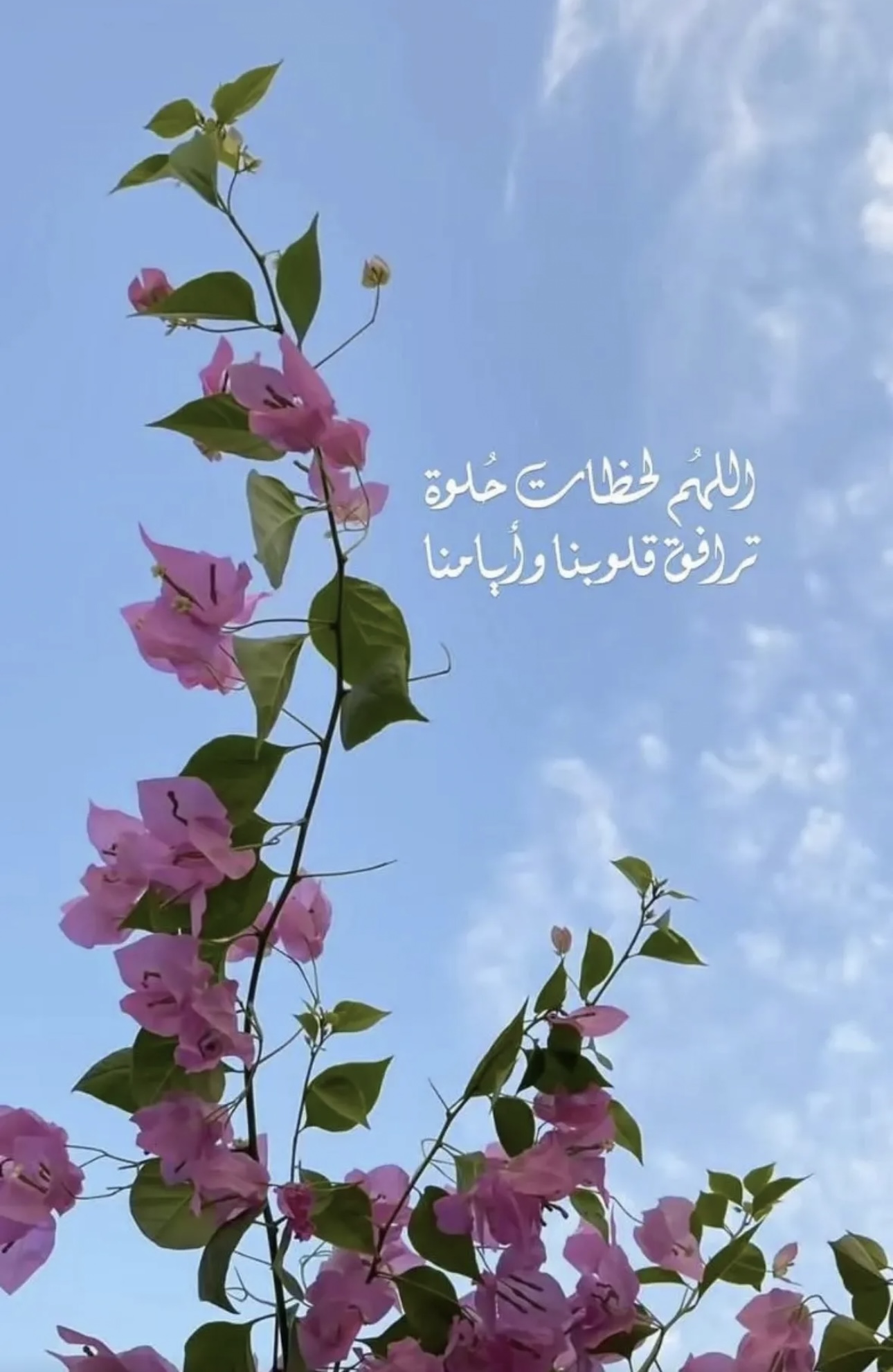 مختارات