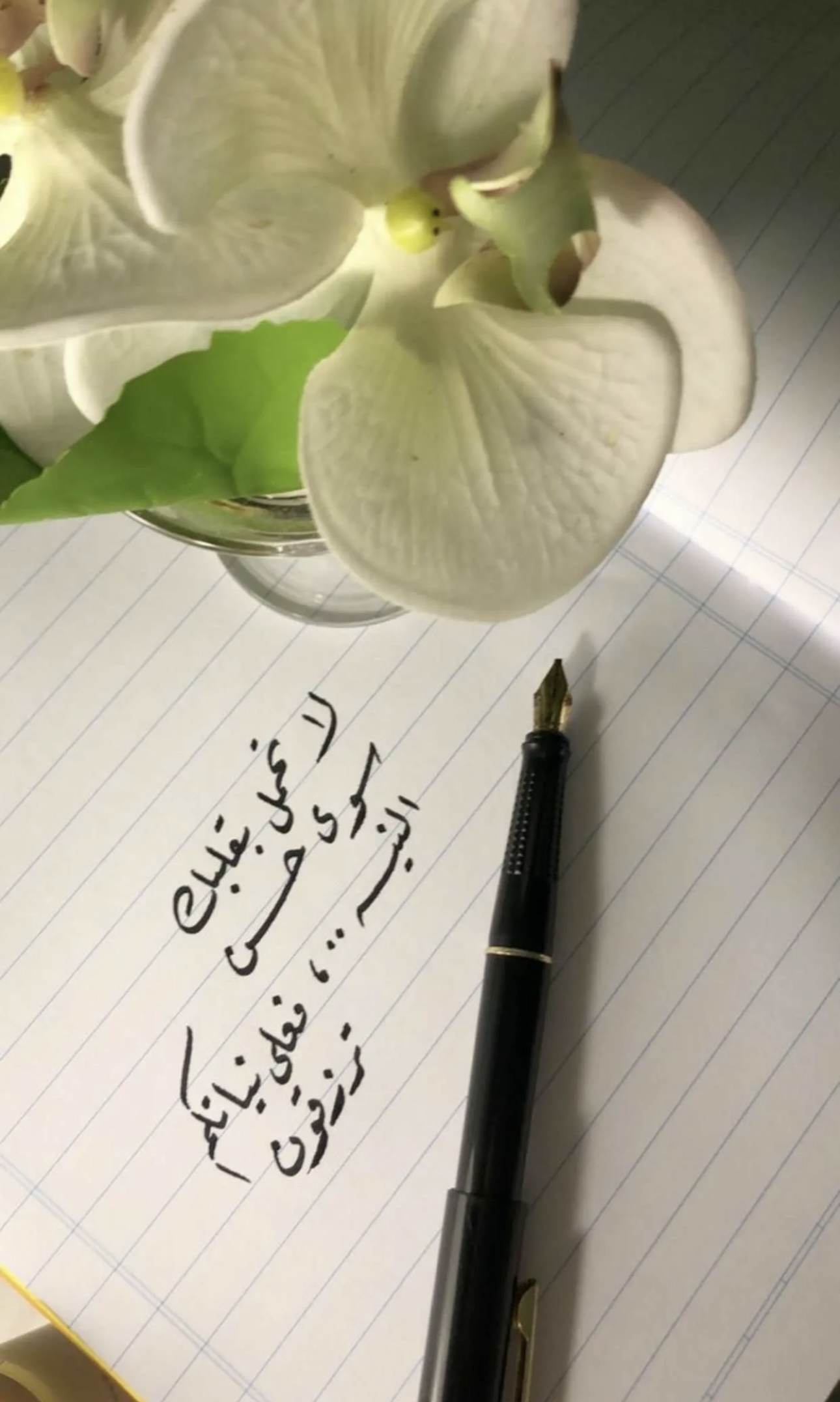 لاتحمل بقلبك سوى حسن النية 