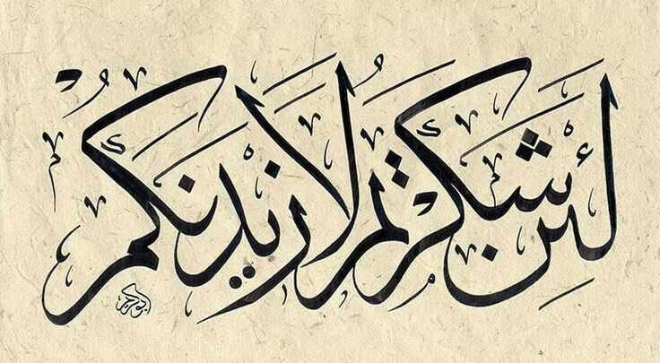 لئن شكرتم لازيدنكم 