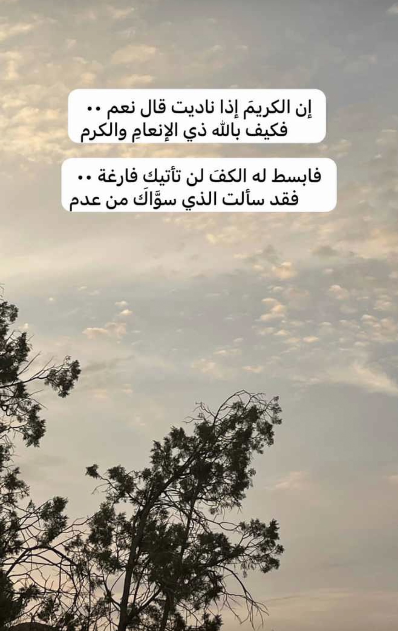 مختارات