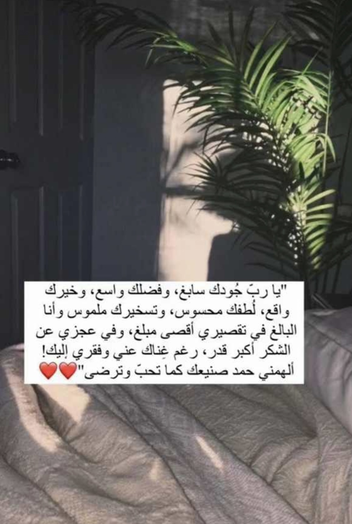 مختارات