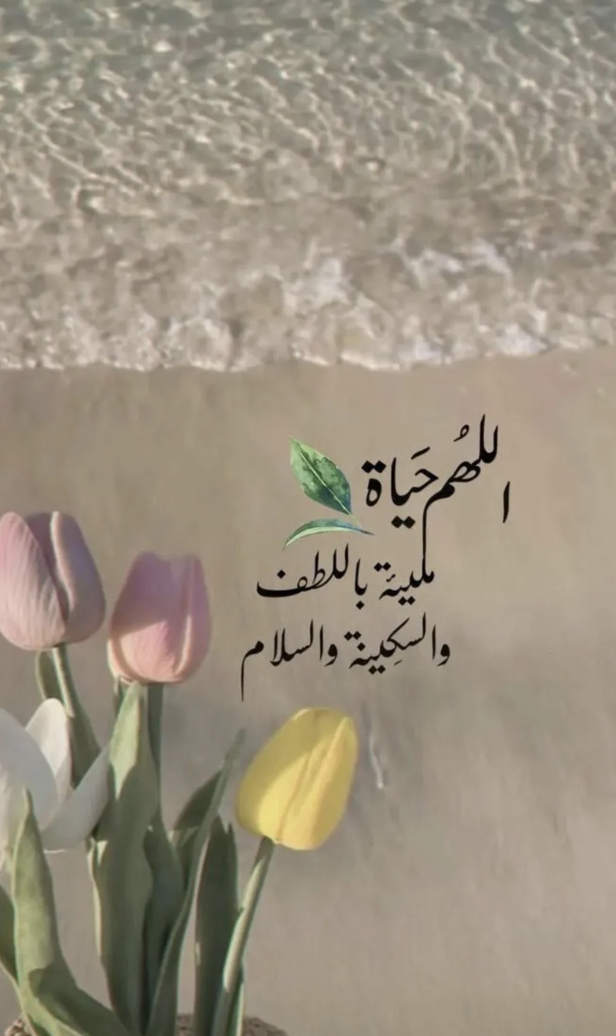 مختارات