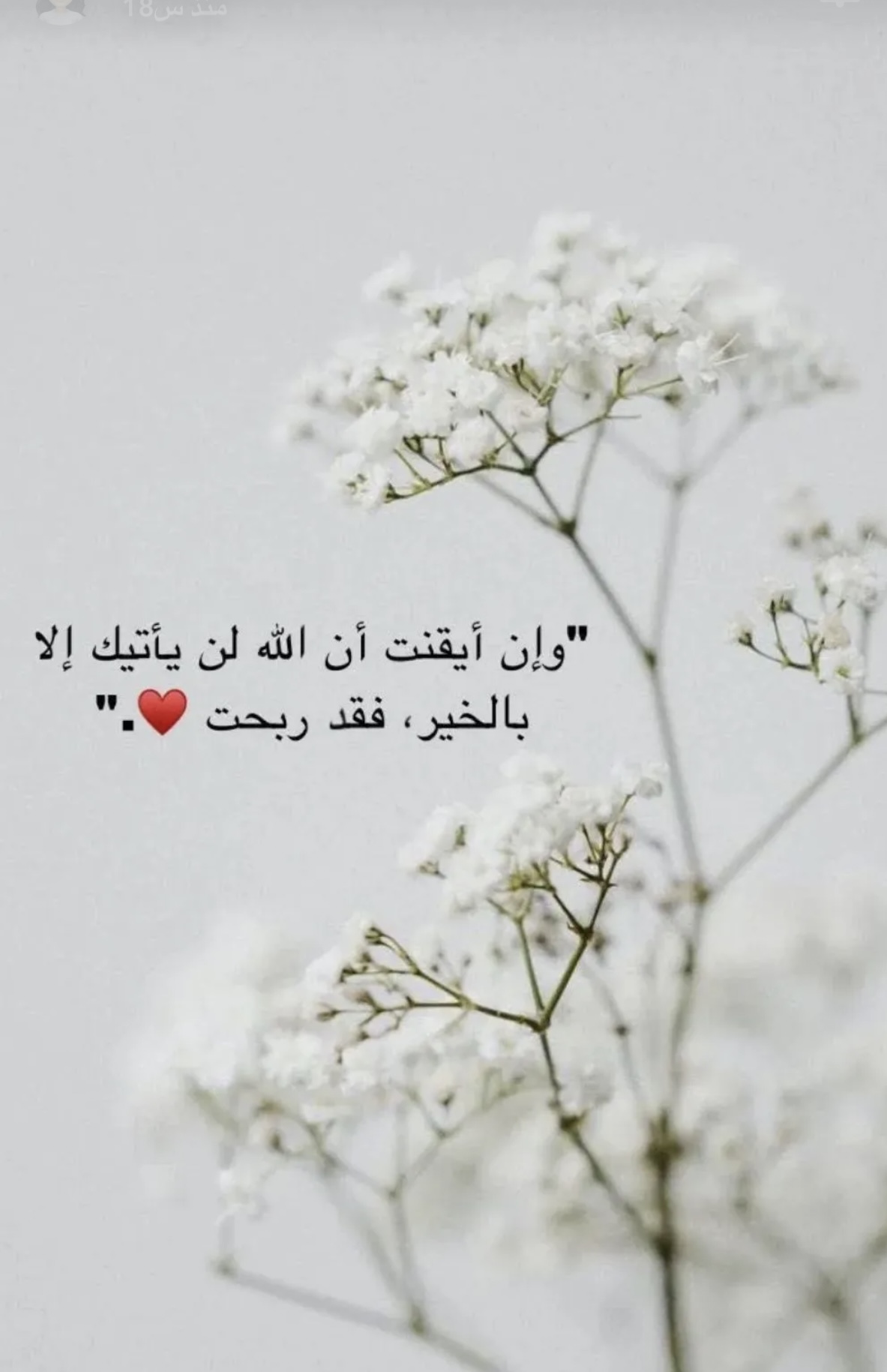 وإن أيقنت أن الله لن يأتيك إلا بالخير فقد ربحت