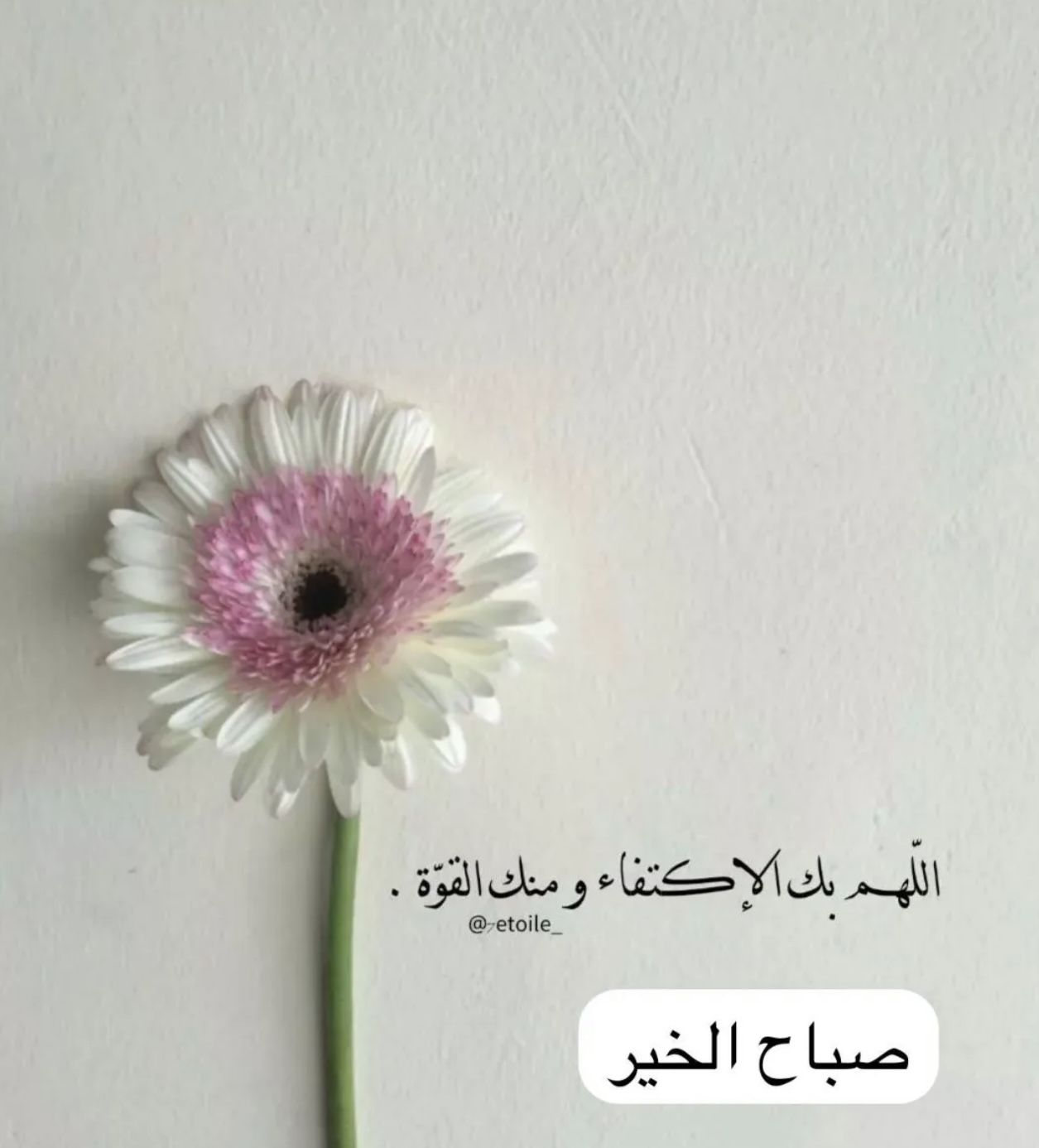 مختارات