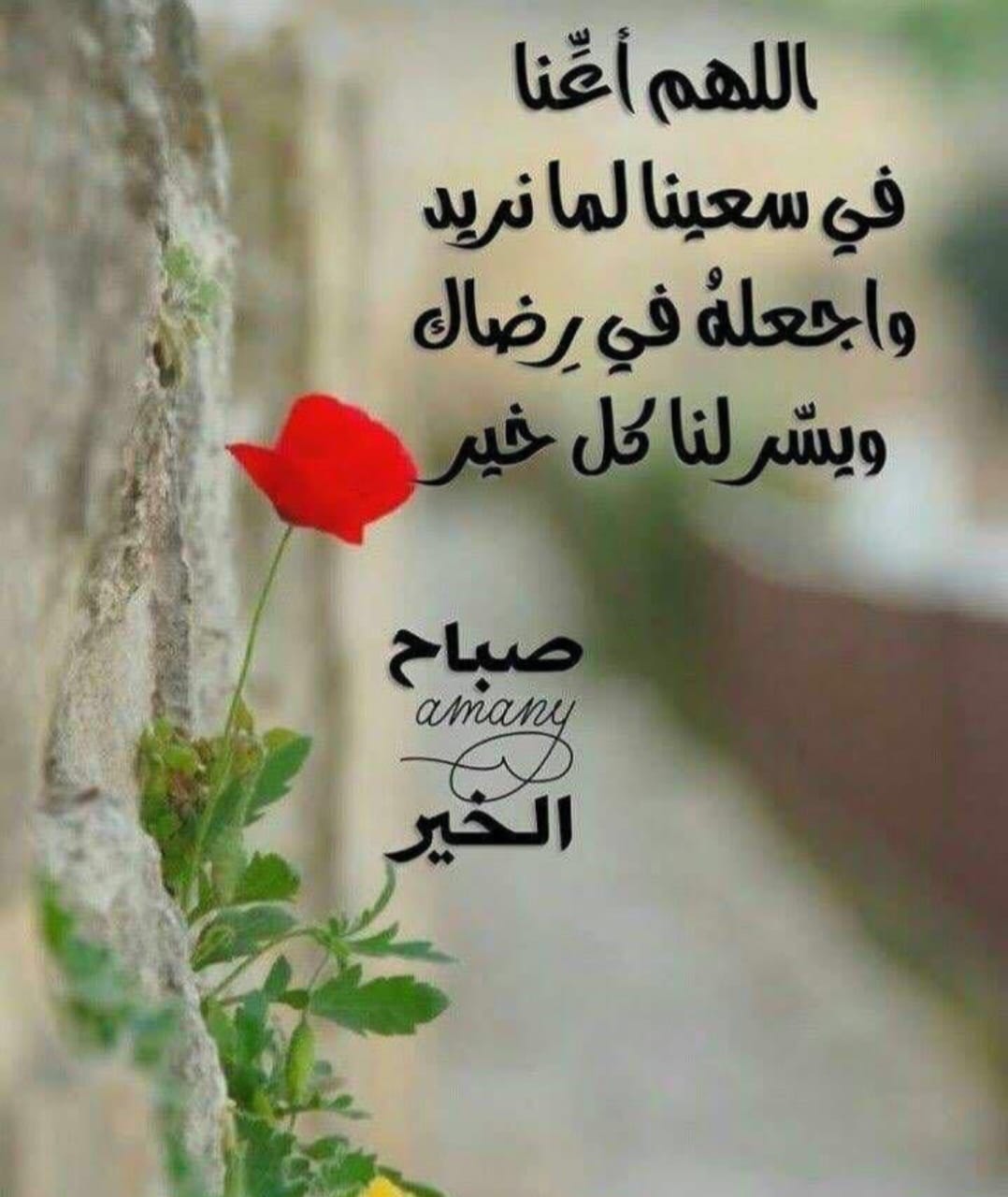 اللهم اعنّا على سعينا لما نريد 