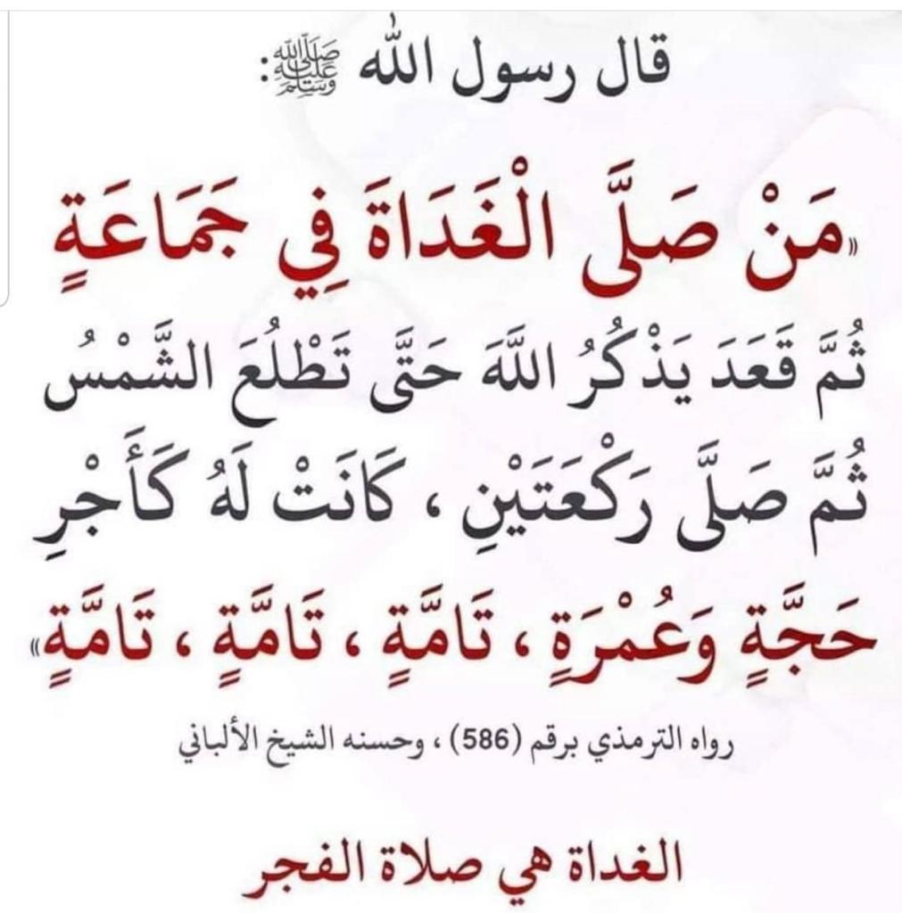 مختارات