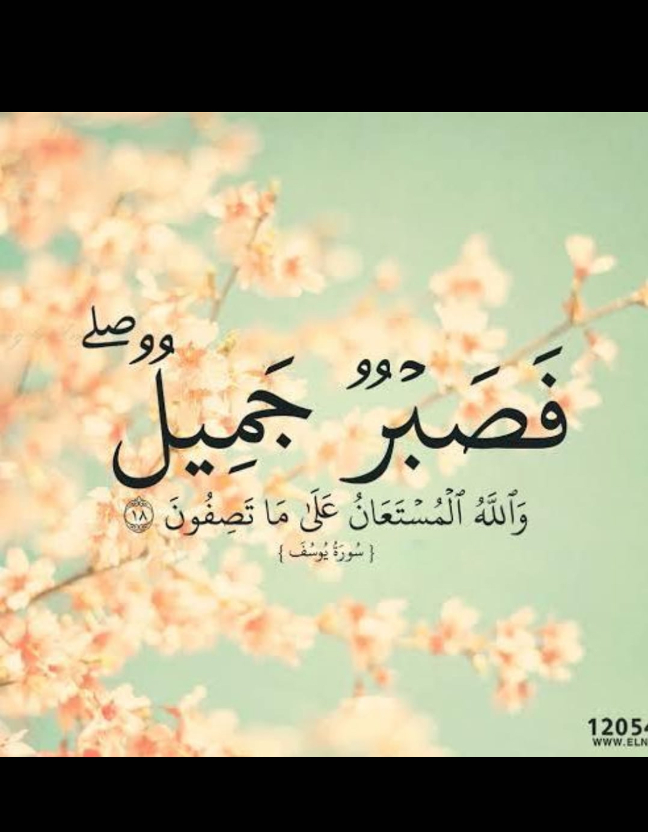 مختارات