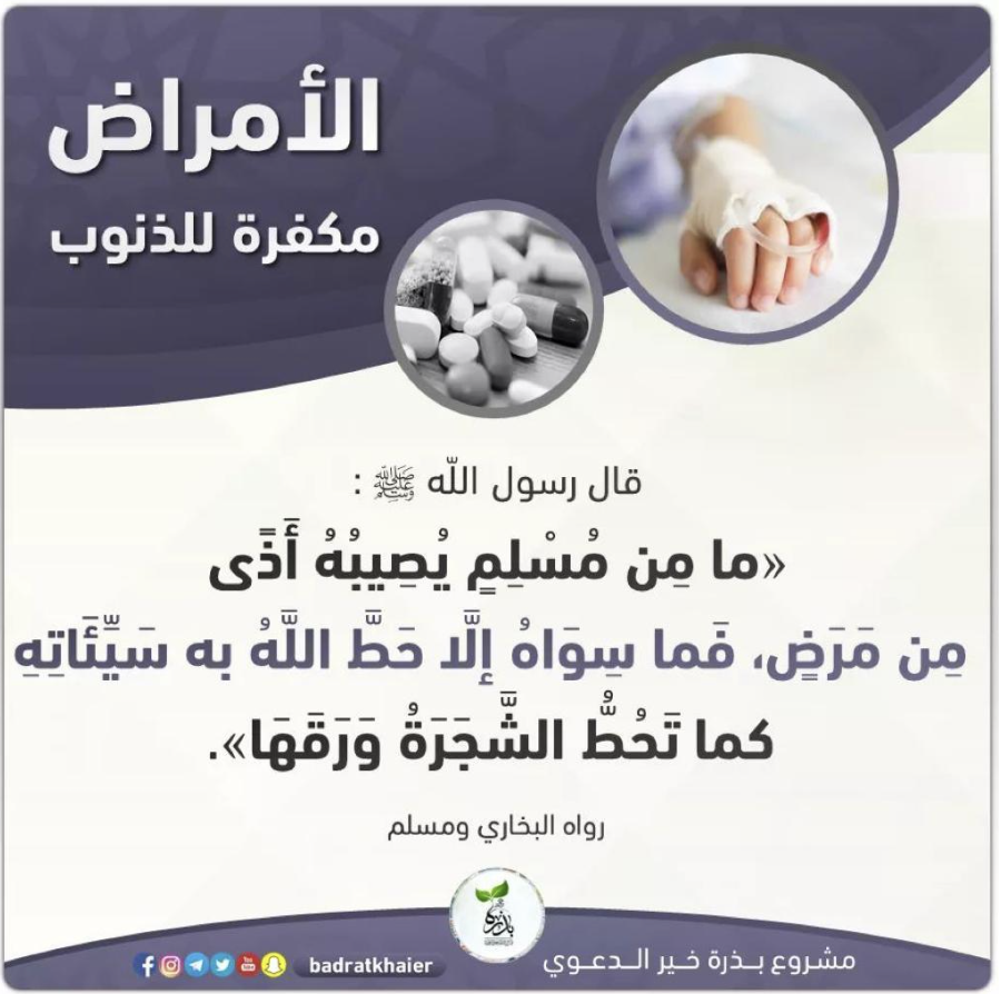مختارات