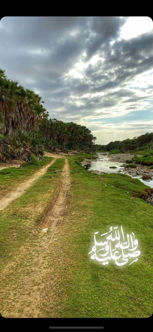 مختارات