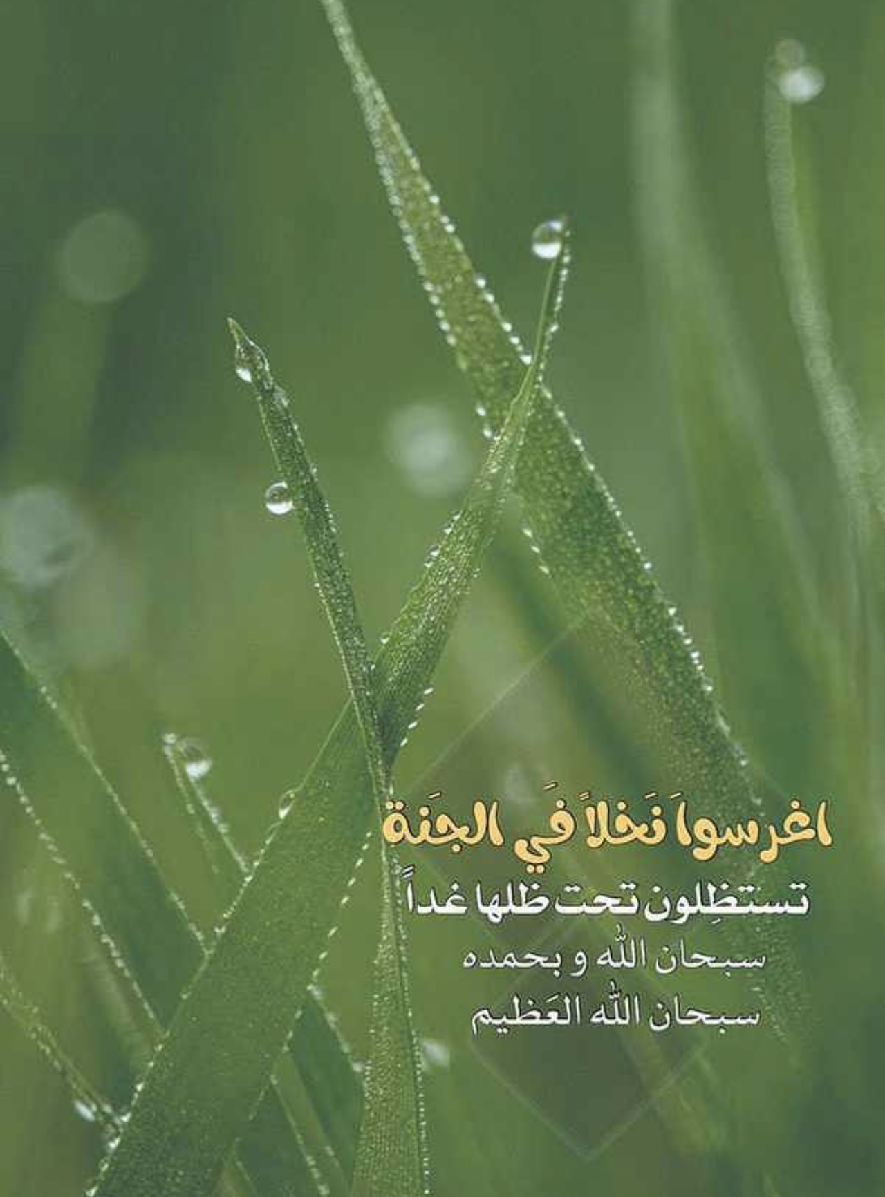اغرسو نخلاً في الجنة