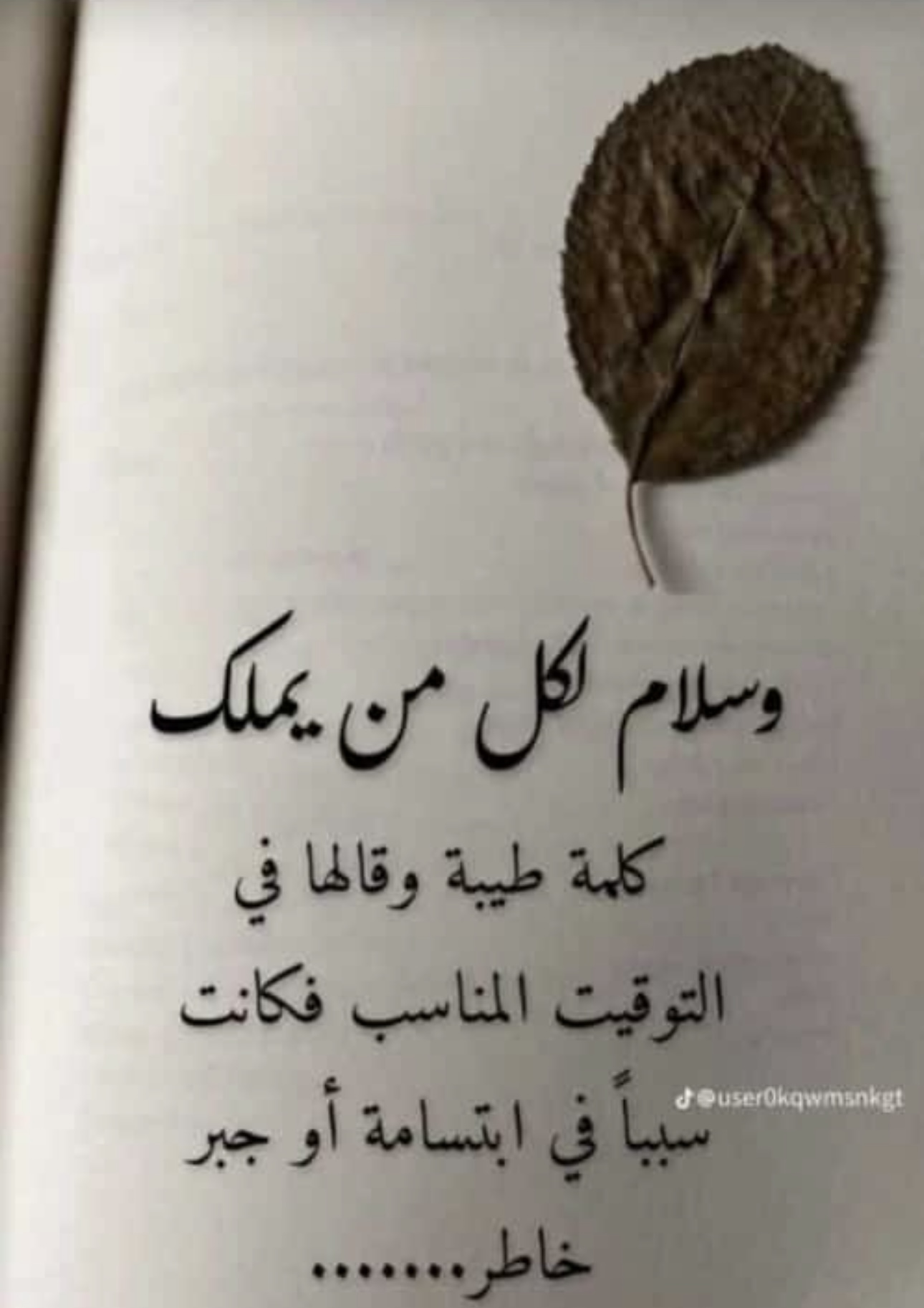 مختارات
