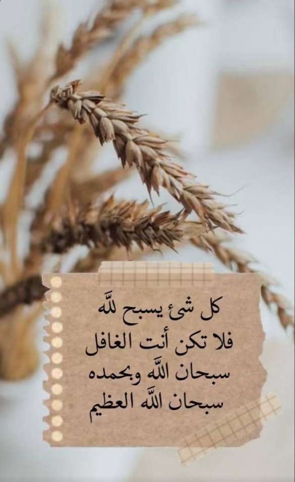 مختارات