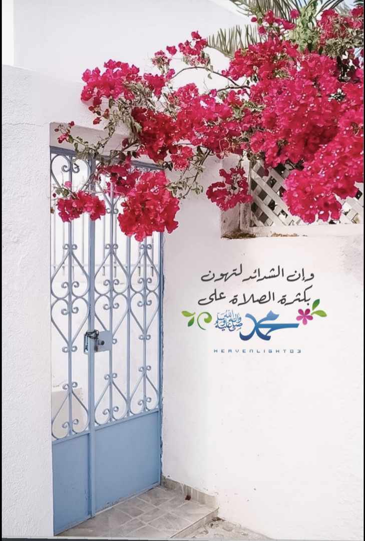 مختارات