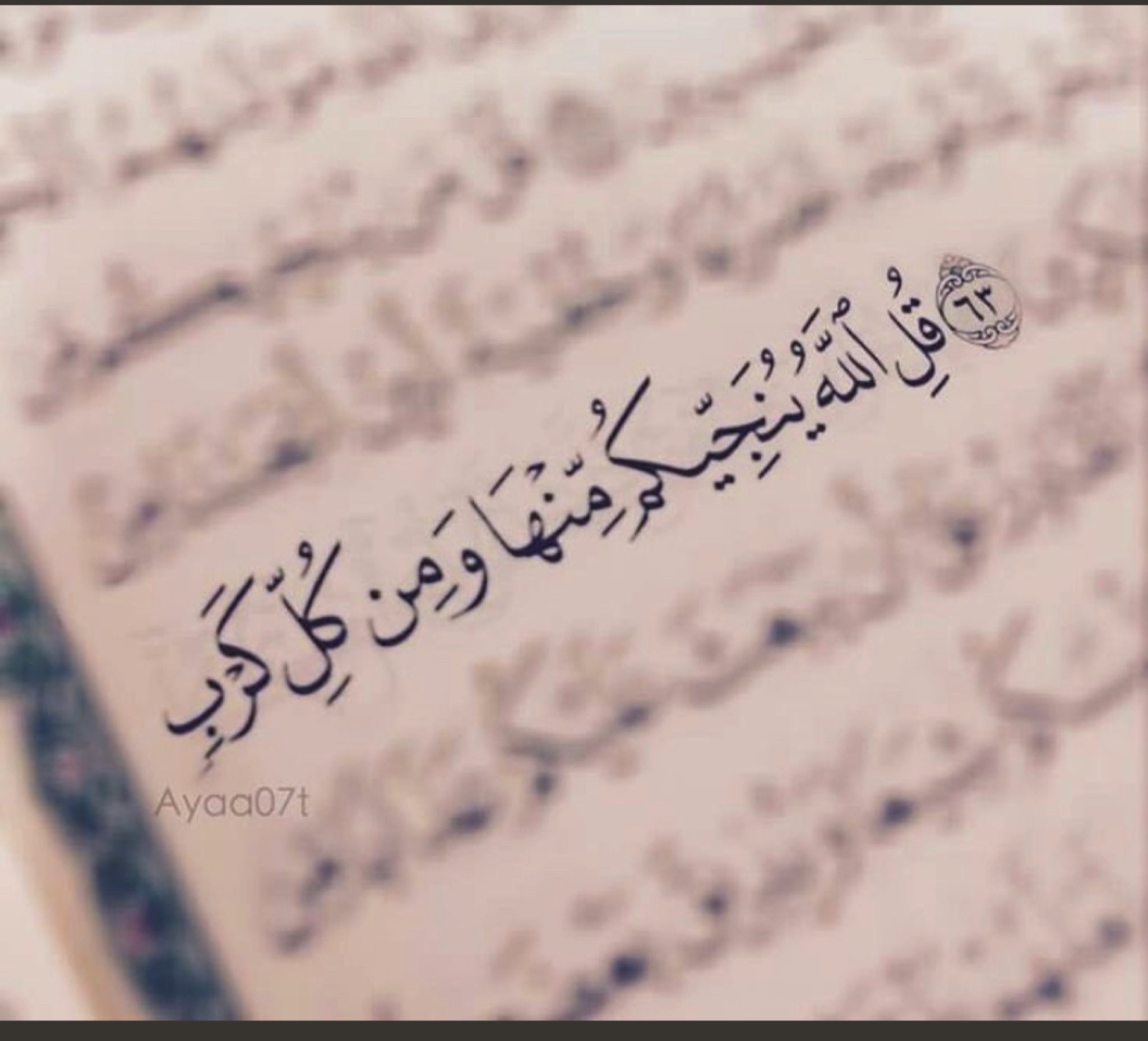 مختارات
