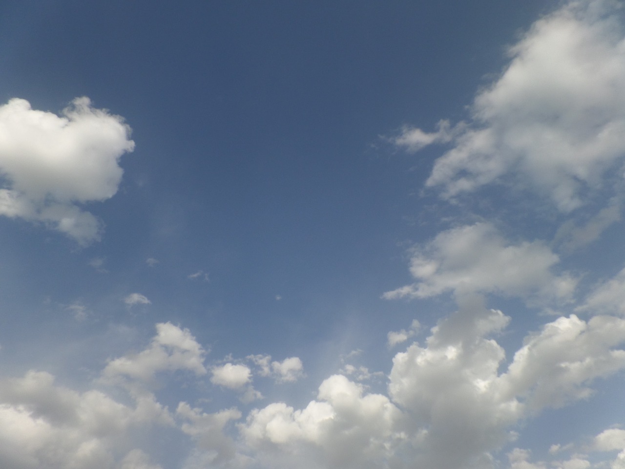 صور منوعة
