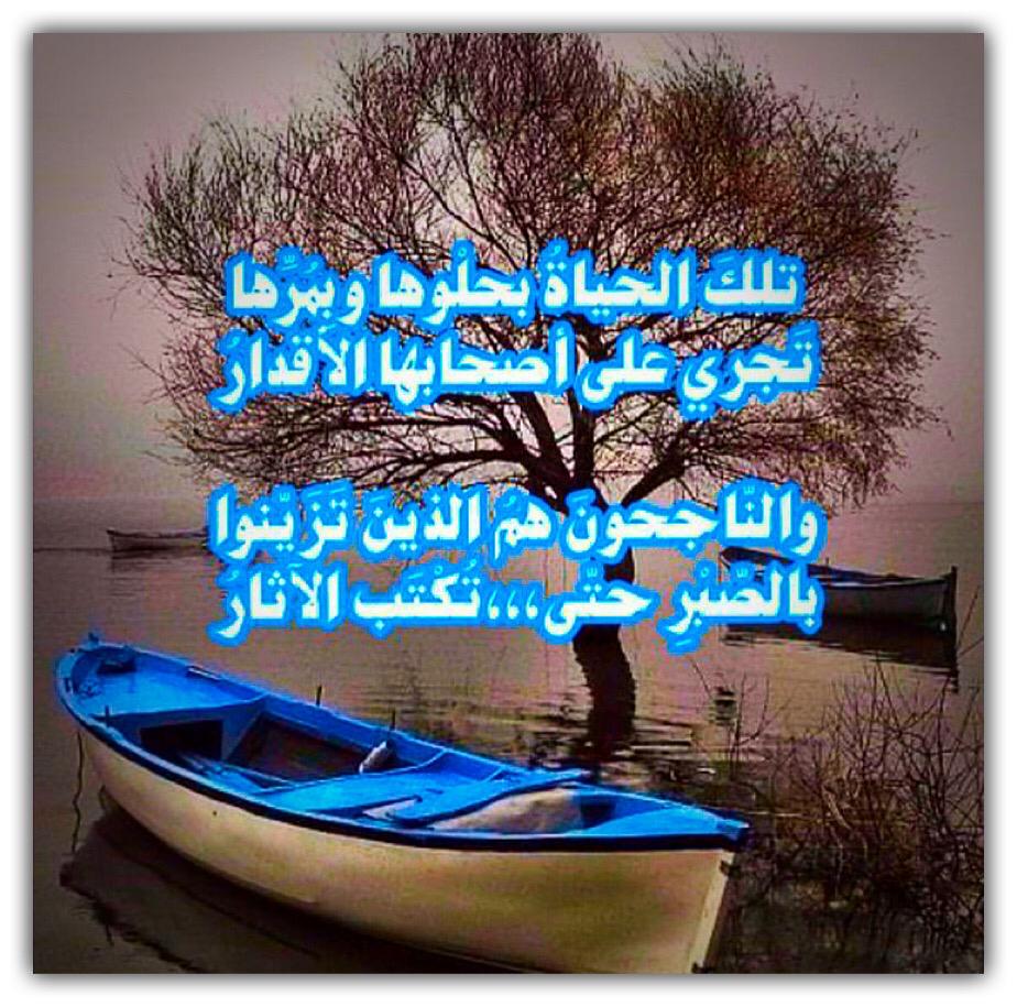 مختارات