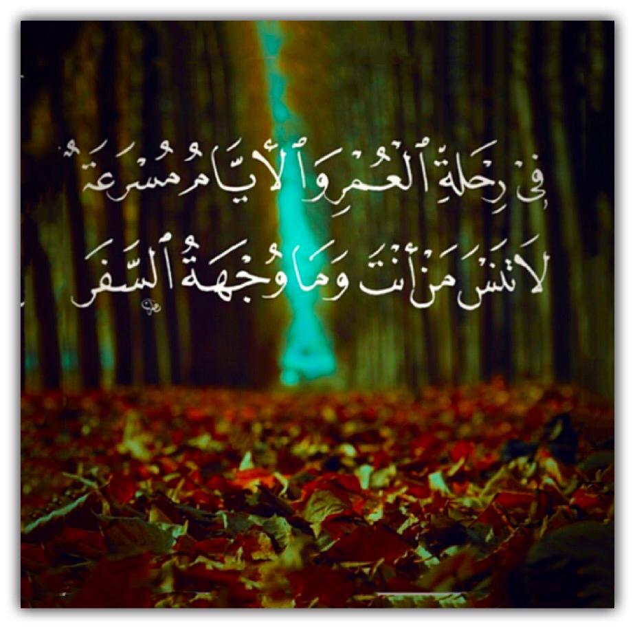 مختارات