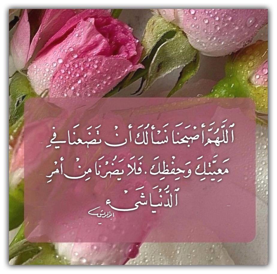 مختارات