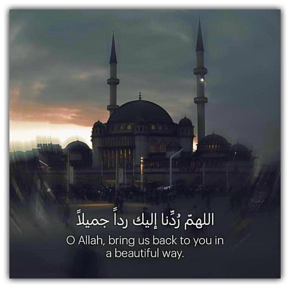مختارات