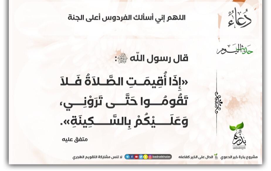 مختارات