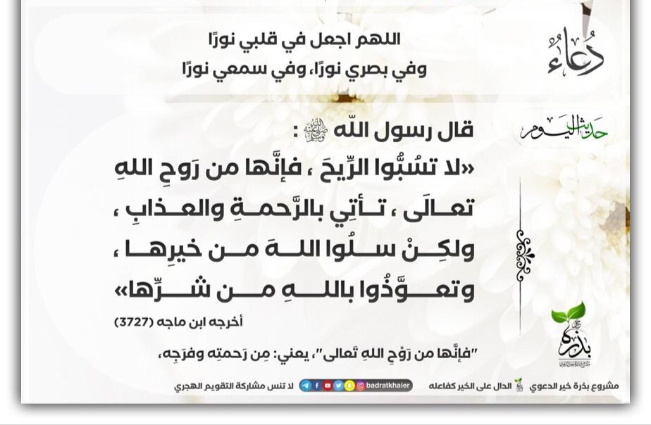 مختارات