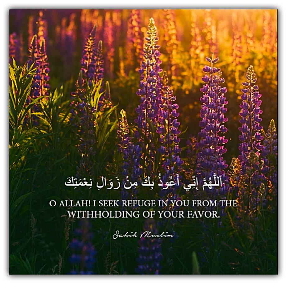 مختارات