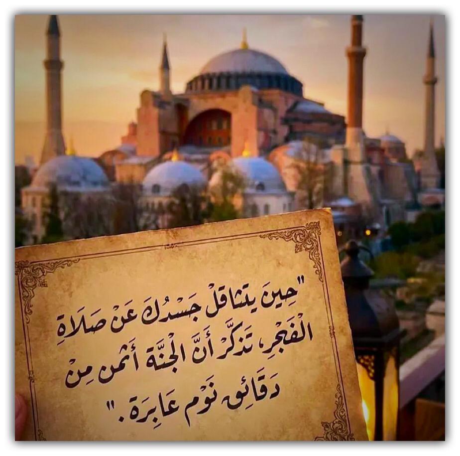 مختارات