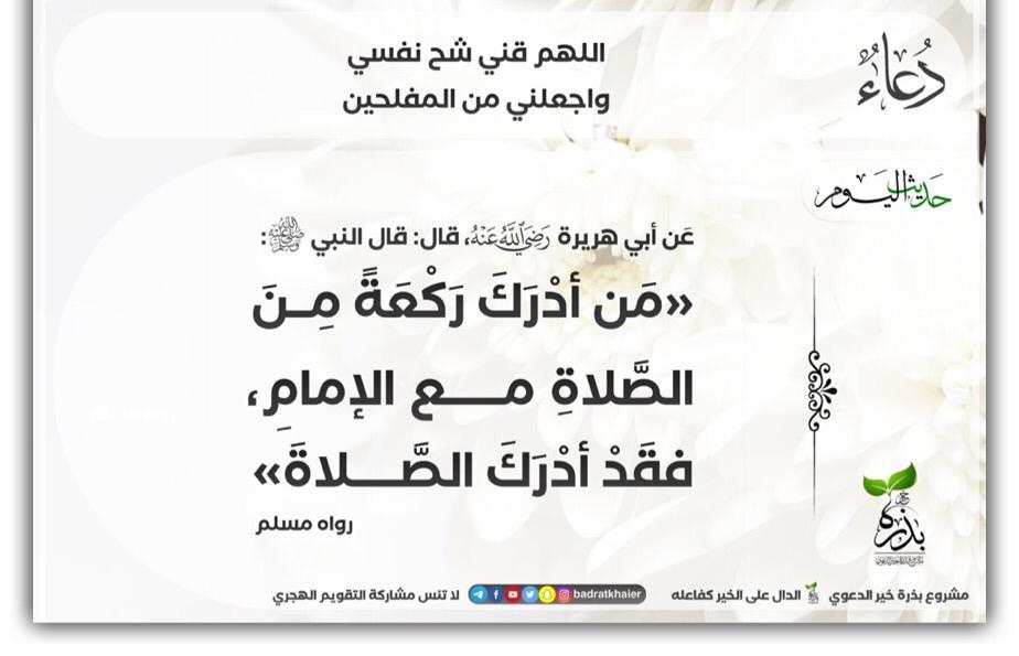 مختارات