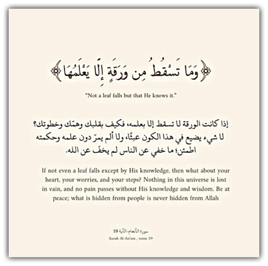مختارات