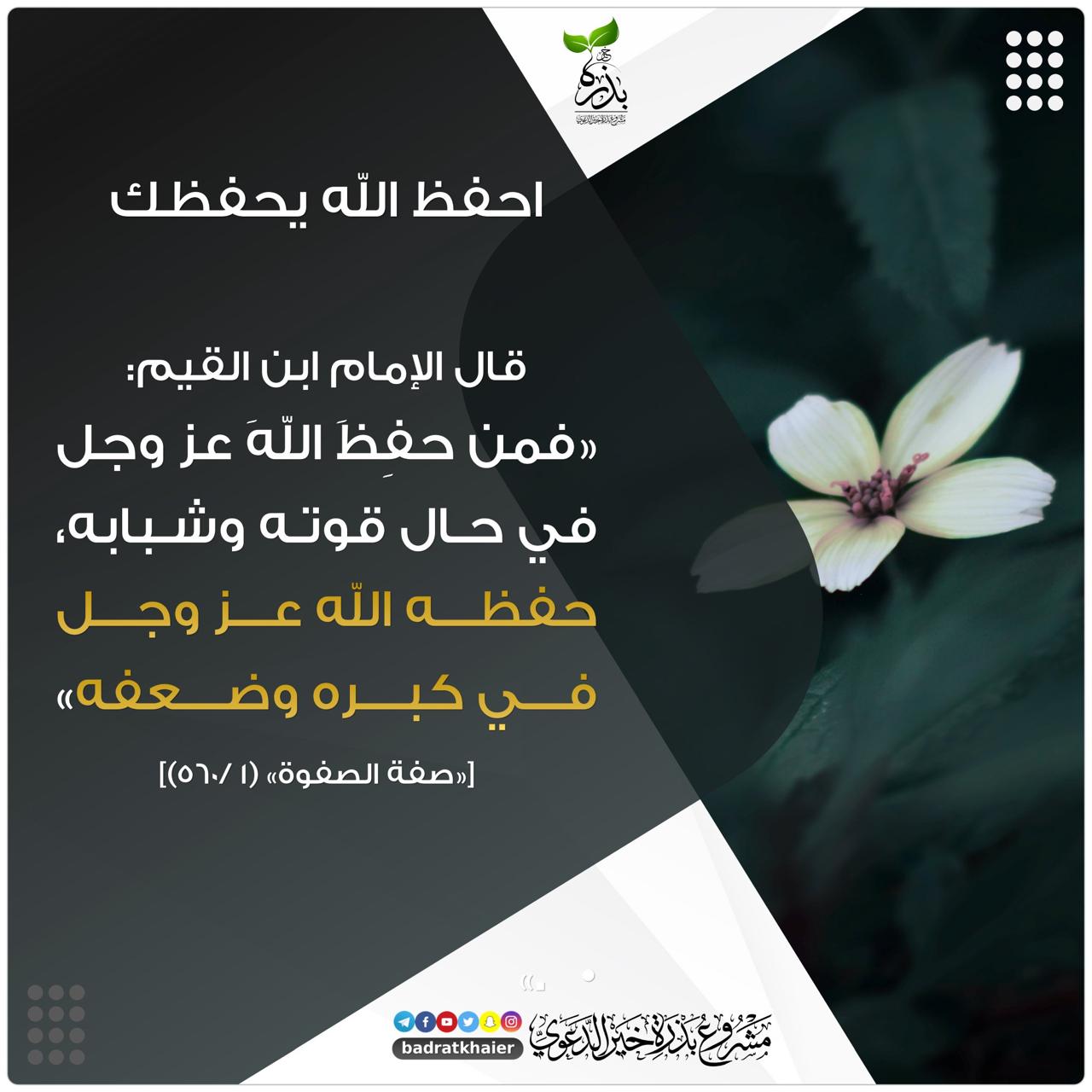 مختارات