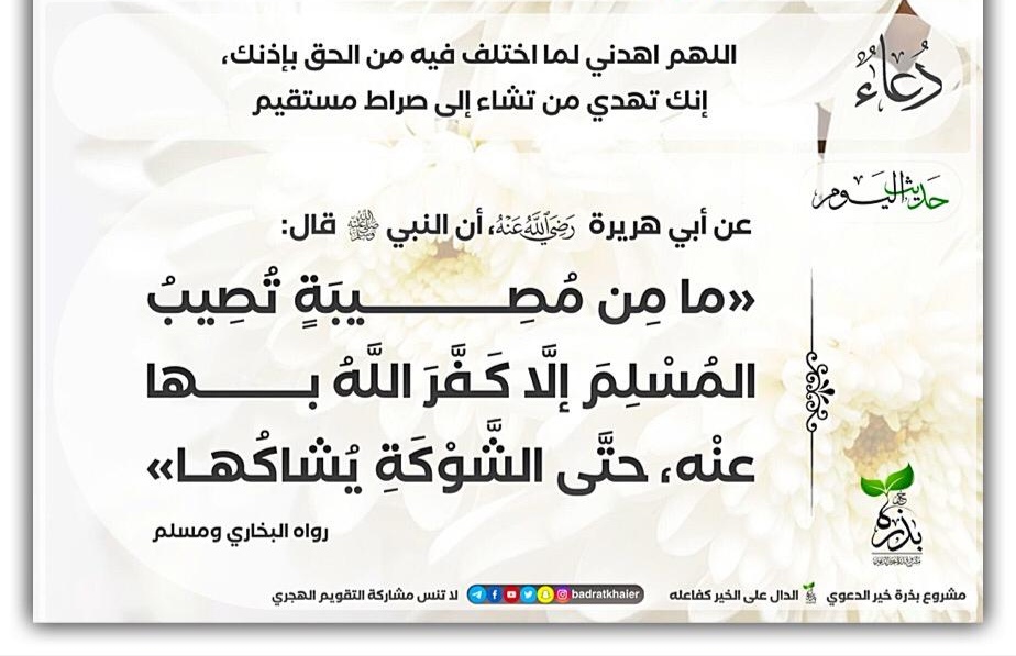 مختارات
