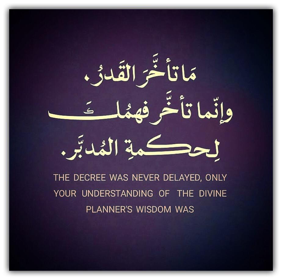 مختارات
