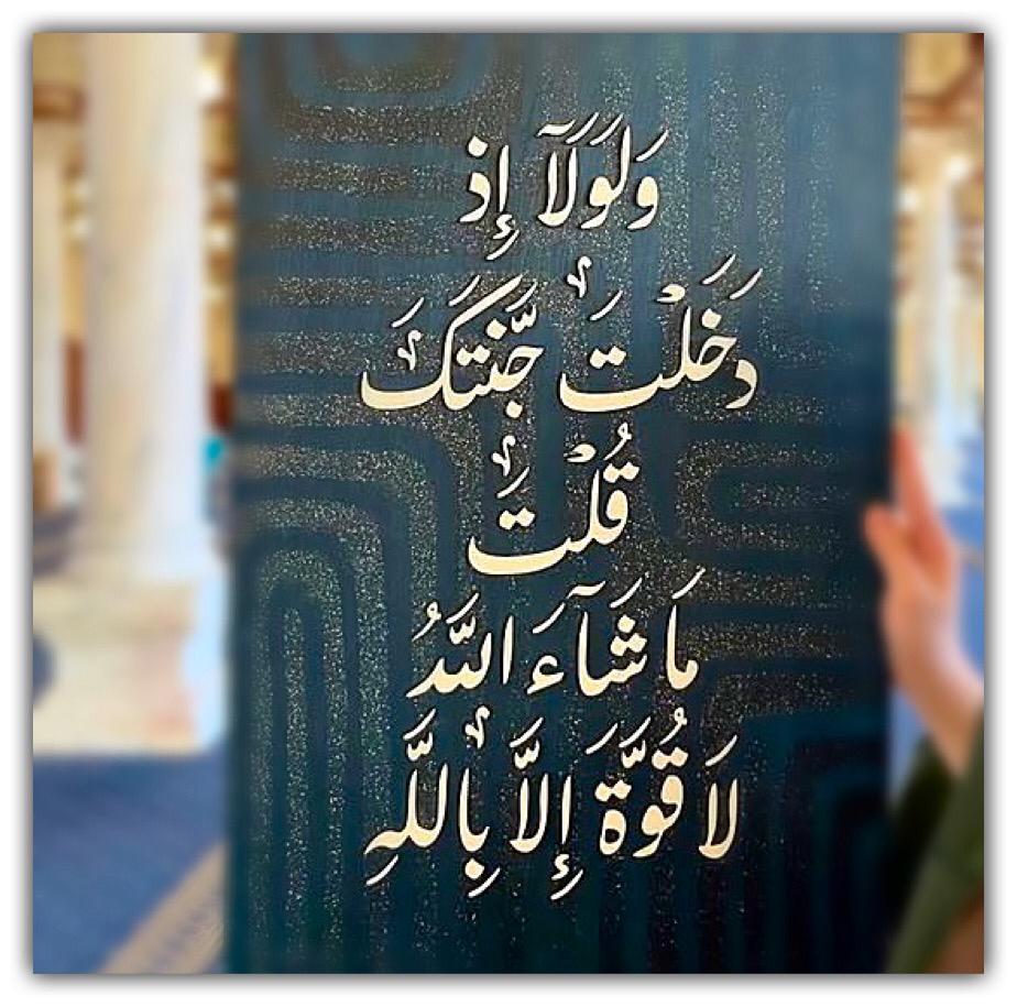 مختارات