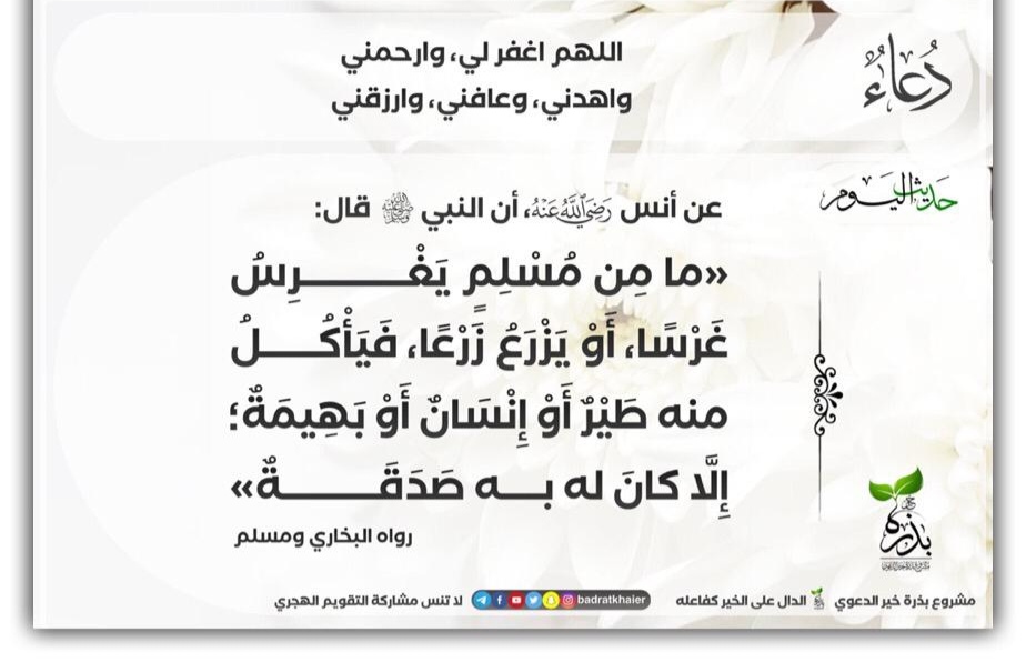 مختارات