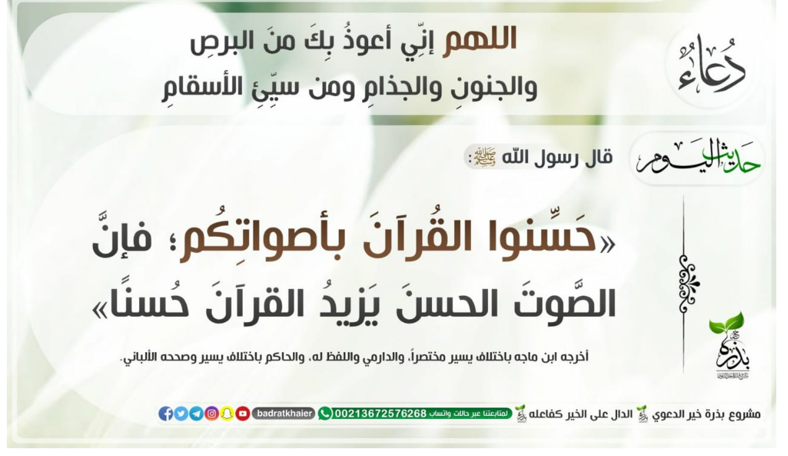 مختارات