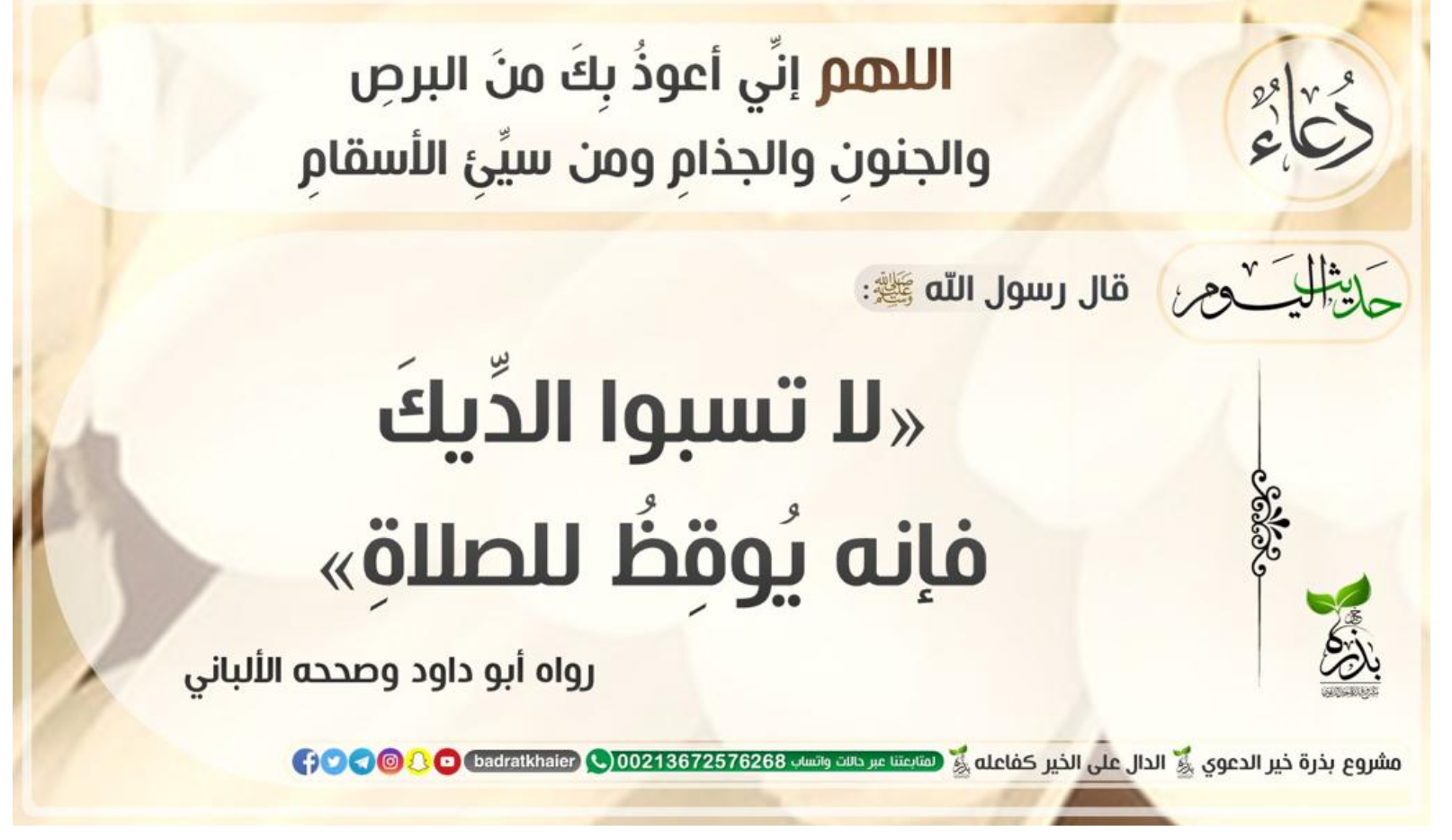 مختارات