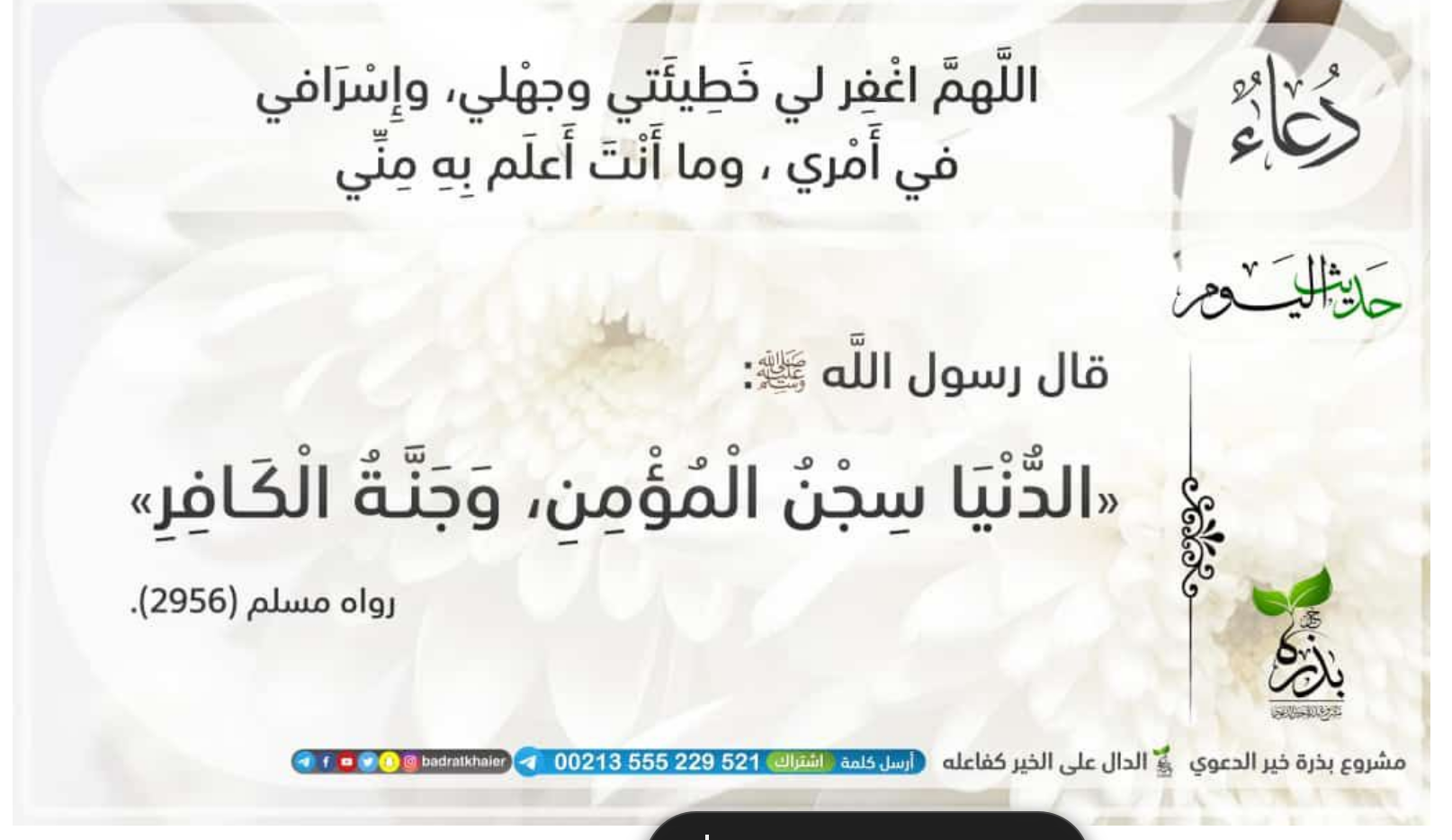 مختارات