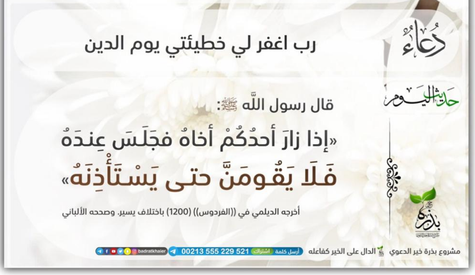 مختارات