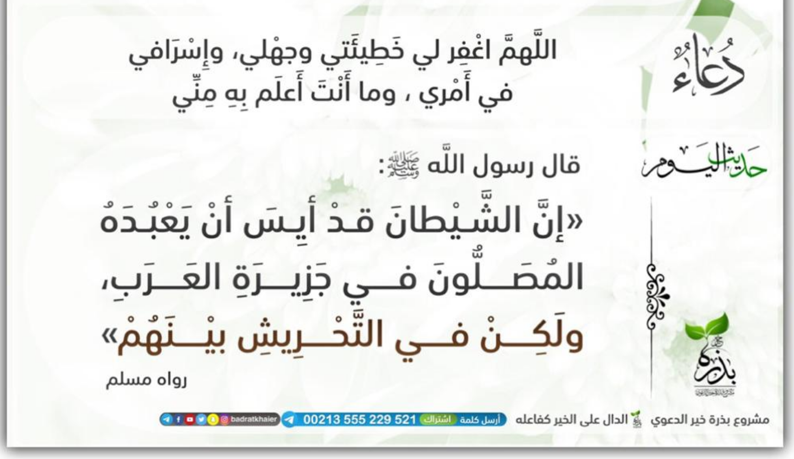 مختارات