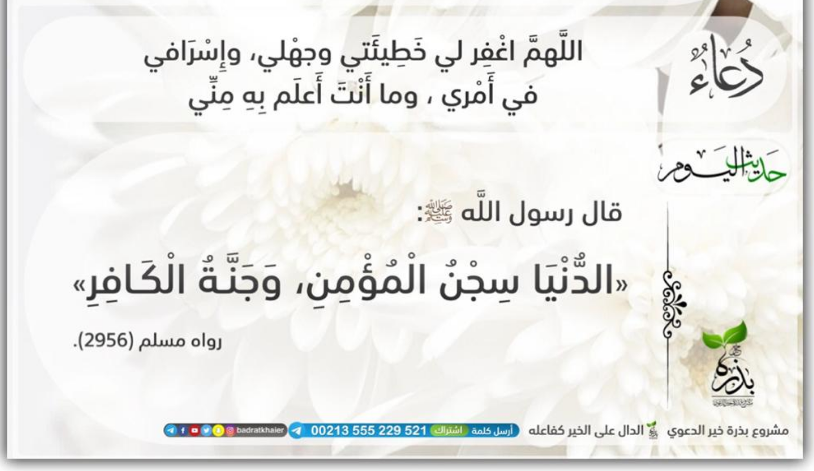 مختارات