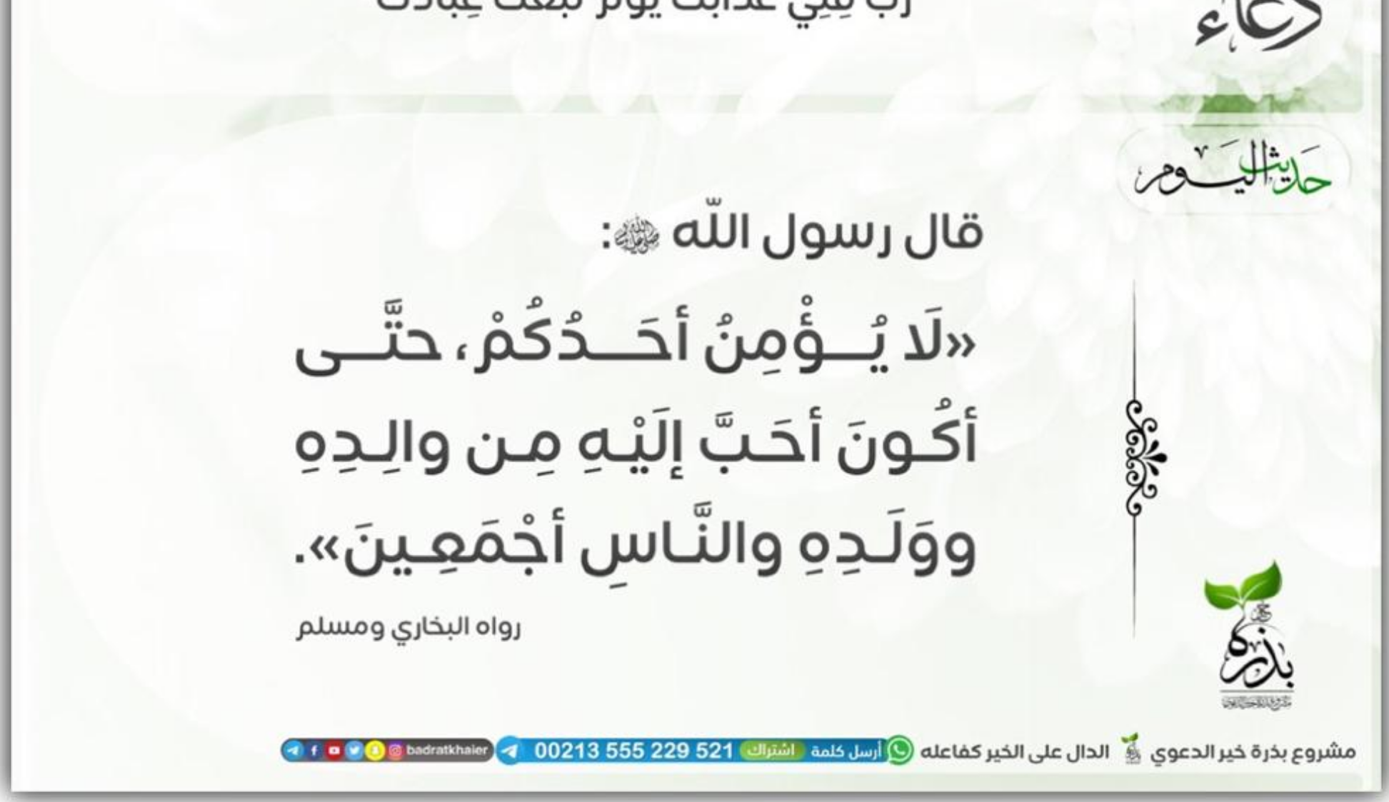 مختارات